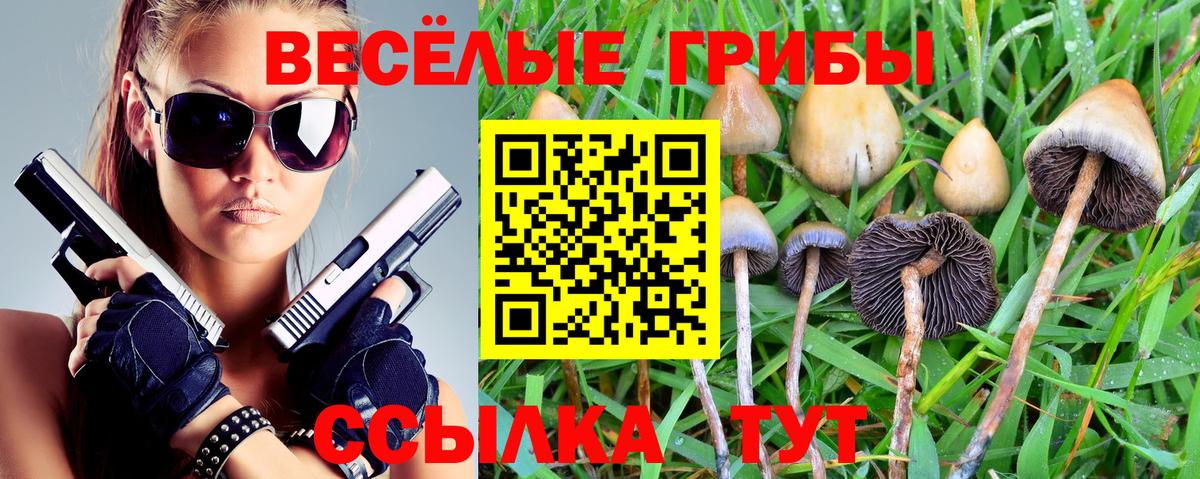 Псилоцибиновые грибы GOLDEN TEACHER  Вход с VPN  Черногорск 